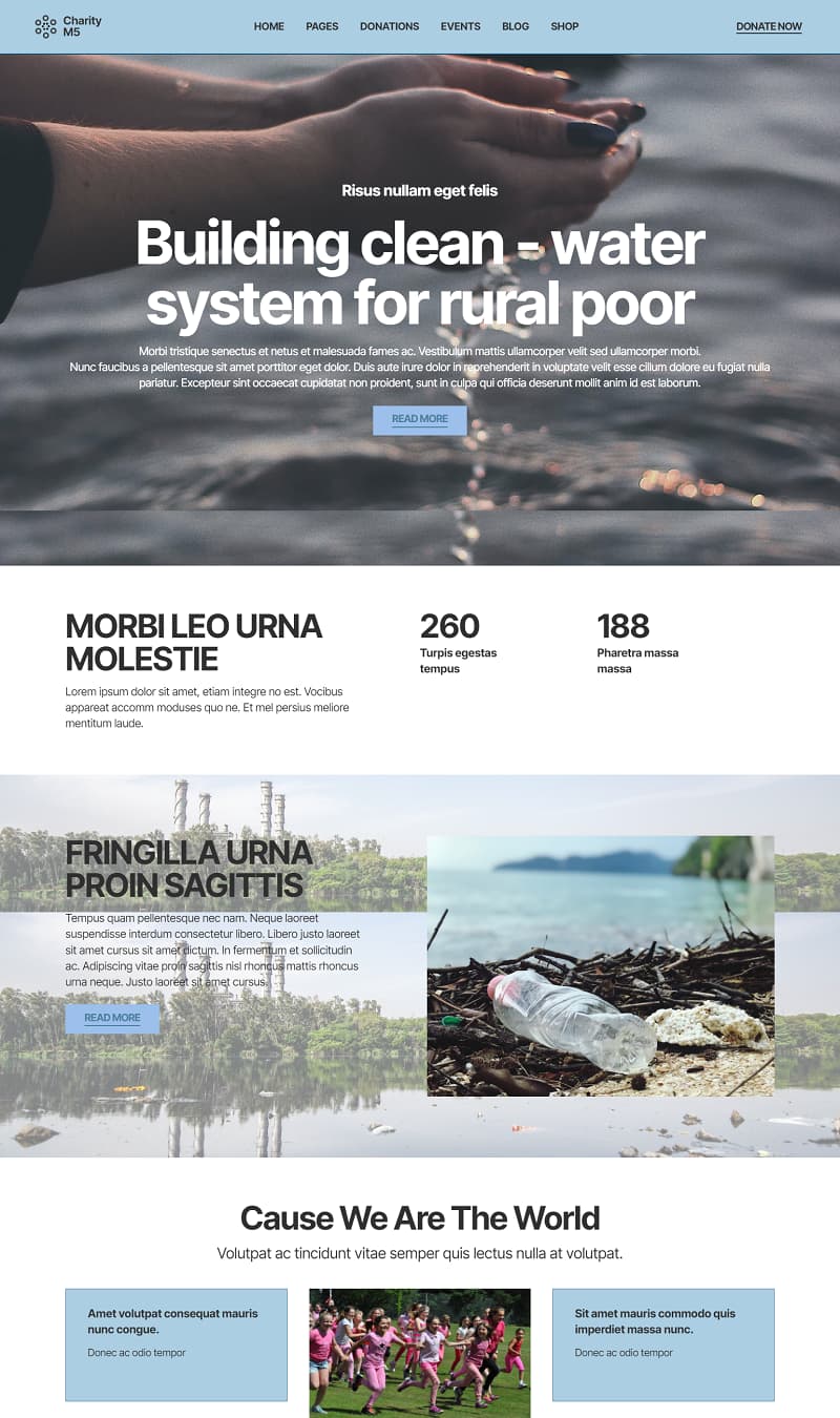 Non-governmental organization