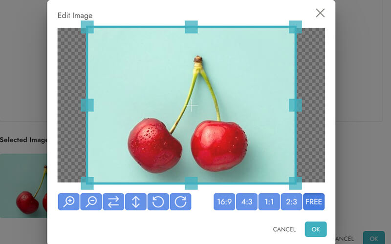 Developing free video website